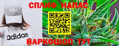 хмурый Будённовск
